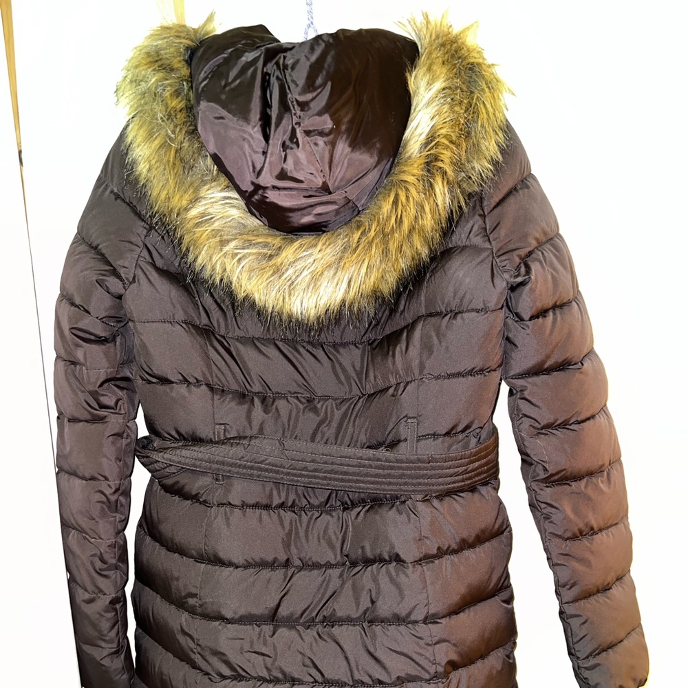 Hollister Winter Jacket